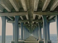 -宝安西湾红树林湿地公园