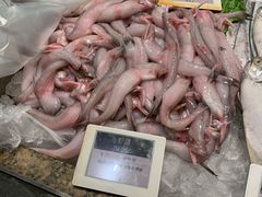 -高佳庄·舟山海鲜(海景旗舰店)