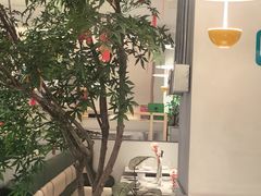 -Aqua Oasis 水天堂(太湖中心mall店)
