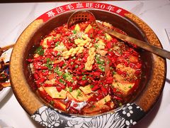 毛血旺-今朝桃花醉川菜小酒馆(龙湖天街店)