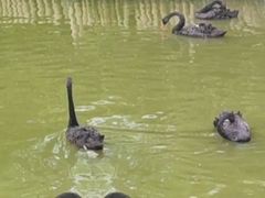 -无锡动物园·太湖欢乐园