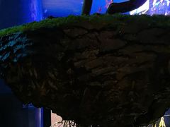 -1718海鲜姿造(苏宁宴请臻选店)