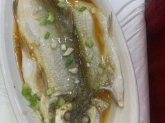 清蒸长江白鱼-老南京土菜馆(状元境店)