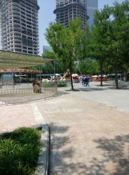 -大望京儿童游乐场