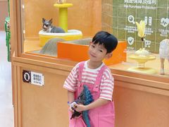 -帕帕拉兹宠物(亚洲旗舰店)