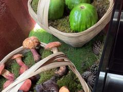 -滇野云南野生菌餐厅(陕西南路店)