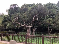-草庵摩尼教遗址公园