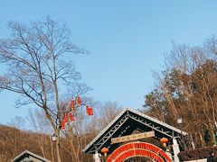 -南京老山国家森林公园