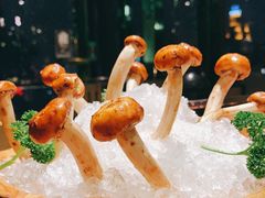 -凤园椰珍·臻品椰子鸡(保利时光里店)