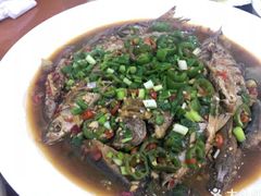-全乐鱼馆·淳牌有机鱼直营店