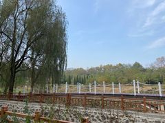 -棒棰岛宾馆景区