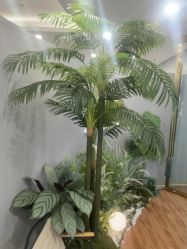 -八佰伴8008星级形象店