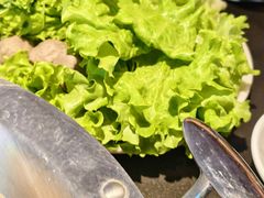 -额尔敦·品质自助(摩尔城店)