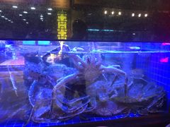 -陶陶居海鲜酒家(新马路店)