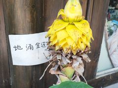 -五凤溪古镇