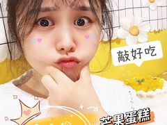 -今日·TODAY手作低脂动物奶油蛋糕定制(高新万达店)