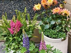 -思南公馆商业街