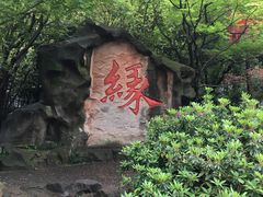 -杭州黄龙洞