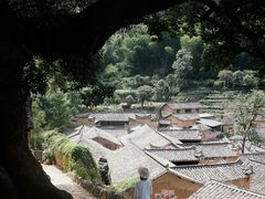 -杨家堂村