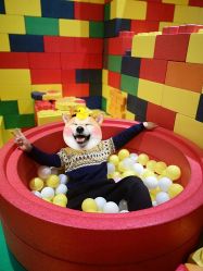 -宝燕乐园(闵行旗舰店)