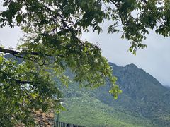 -炊烟餐厅