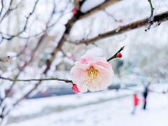 -钟山体育运动公园