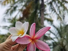 -星巴克(三亚海棠湾国际免税城店)