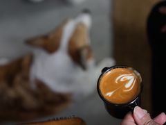-Tequila Espresso(嘉善路店)