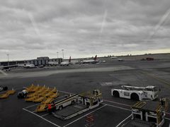 -约翰·菲茨杰拉德·肯尼迪国际机场