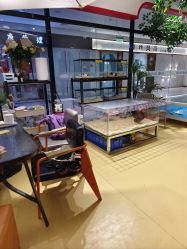 点击看大图 -开心哈乐儿童主题乐园(孙河易事达店)