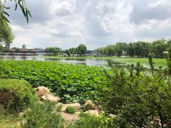 -长春市南湖公园