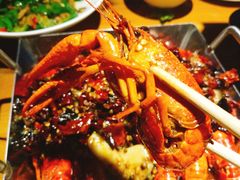 -辣猫龙虾(马泉营店)