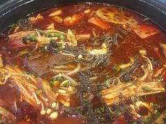 -眉州东坡(博雅店)