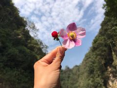 -狮子关旅游区