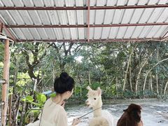 -深圳野生动物园