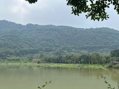 -风云岭森林公园