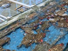 -映像威海·海鲜味道(经区店)