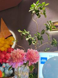 -花隐·美芙炫海菲秀皮肤管理中心