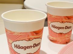 -哈根达斯(天河城店)