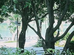 -时光花园(白鹭洲店)