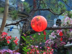 -三溪村