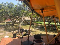 -桃源山庄·摘樱桃·柴火鸡·烧烤团建(龙泉山店)