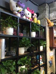 点击看大图 -IN HAIR艺术+造型