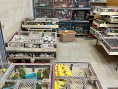 -青石桥花鸟鱼虫市场(叠翠城店)