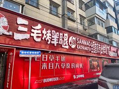 -三毛烤羊腿(乐园路总店)
