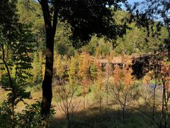 -神光山国家森林公园