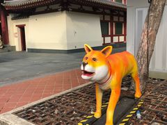 -新加坡佛牙寺龙华院
