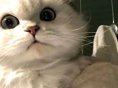 -纳吉亚猫专科动物医院博雅分院