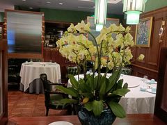 -蝶园·装修中(BFC外滩金融中心店)