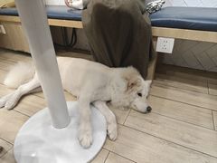 -OZ cafe(南昌路店)